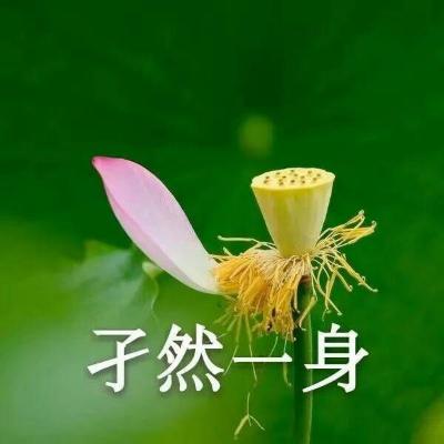 老人家专用的头像(老年专属头像设计)-第2张图片-丝路图片网