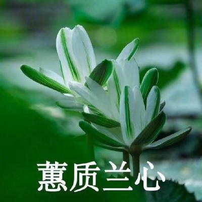 60岁老人头像照片男(60岁男性头像照)-第2张图片-丝路图片网