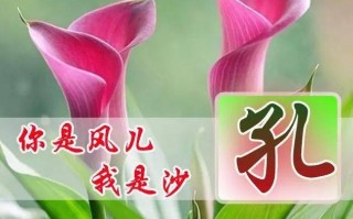 50个风水微信头像图片(50款风水微信头像图)